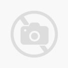 Testing Gift Message